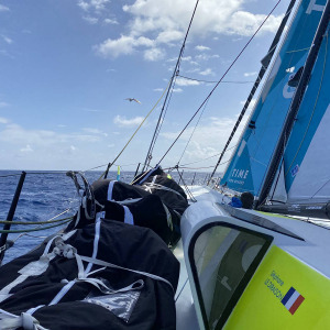 Stéphane Le Diraison poursuit son chemin accompagné d'une mouette