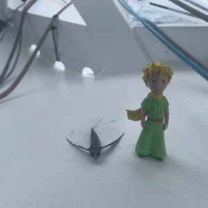 Le Petit Prince voyage à bord du bateau Apivia