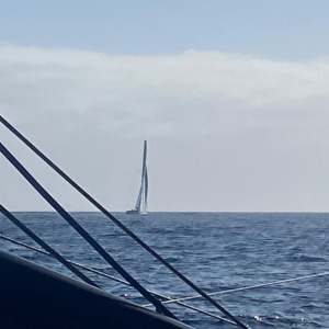 Time For Oceans, skipper Stephane Le Diraison, in sight onboard La Mie Caline - Artisans Artipole