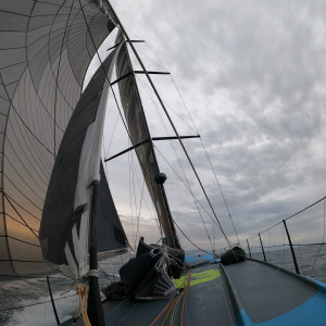 Nice picture embarked onboard One Planet One Ocean