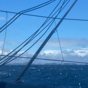 Jérémie Beyou saw the land he hadn't seen for a long time: in sight the Diego Ramirez Islands!